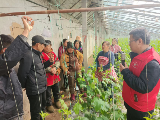 市科协参加2024年徐州市文化科技卫生三下乡文明实践集中示范活动667.png