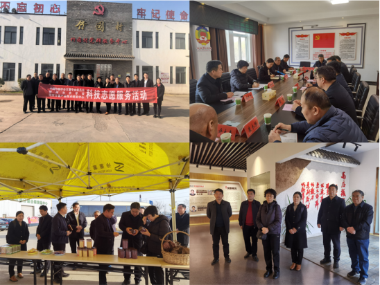 发挥专家资源优势推动新质生产力赋能淮海经济区小麦甘薯产业发展686.png
