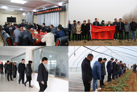 发挥专家资源优势推动新质生产力赋能淮海经济区小麦甘薯产业发展1388.png