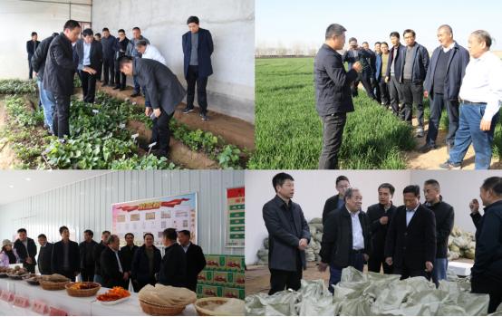 发挥专家资源优势推动新质生产力赋能淮海经济区小麦甘薯产业发展1691.png