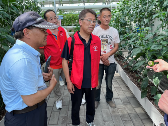 铜山区全国科技活动周系列活动之五：邀请市农技协专家到现代农业产业示范园科普教育基地进行农业技术指导109.png