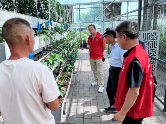 铜山区全国科技活动周系列活动之五：邀请市农技协专家到现代农业产业示范园科普教育基地进行农业技术指导229.png