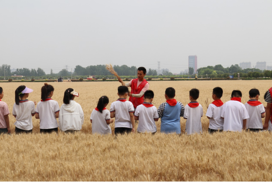 徐州市农学会组织青少年科普活动—行走的研学课堂 农科院探秘424.png