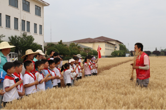 徐州市农学会组织青少年科普活动—行走的研学课堂 农科院探秘425.png