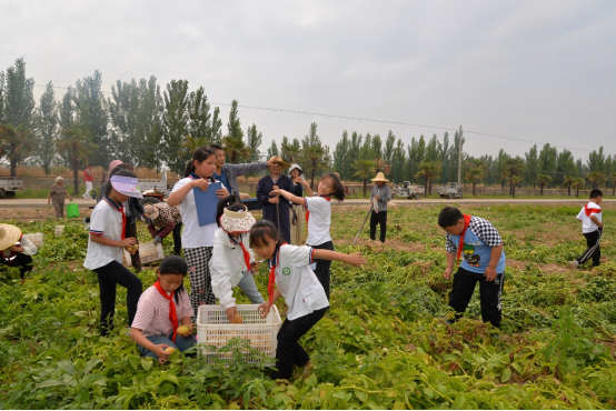 徐州市农学会组织青少年科普活动—行走的研学课堂 农科院探秘594.png