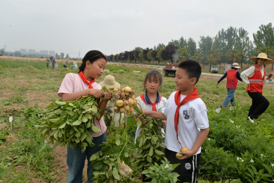 徐州市农学会组织青少年科普活动—行走的研学课堂 农科院探秘596.png