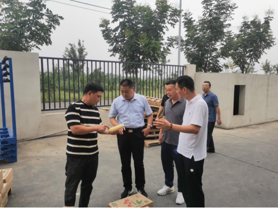 徐州市科协对2024年提升学会能力项目开展中期检查196.png