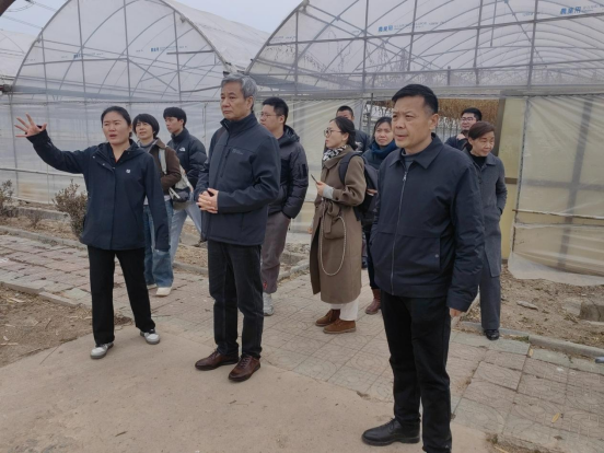 南京农业大学专家指导邳州科技小院建设工作