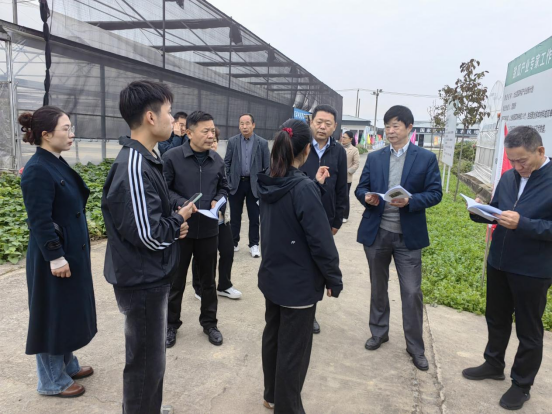 江苏省科协农村中心主任张杰一行赴邳州市大庄农业科技小院调研科技助农工作26.png 江苏省科协农村中心主任张杰一行赴邳州市大庄农业科技小院调研科技助农工作26.png
