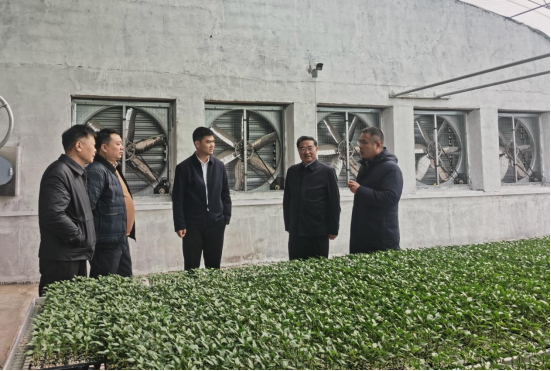 省科技专家赴邳州调研指导科技小院建设发展工作