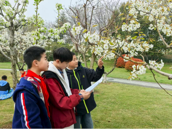 春染九里湖，趣享研学行 (1)110.png